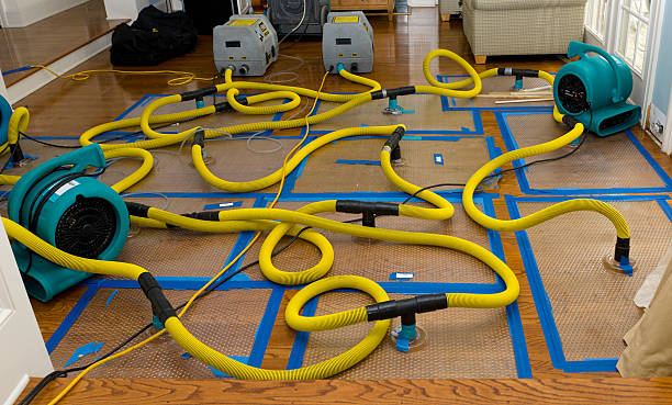 Professional Water Damage Repair technician working in Bad Axe, MI